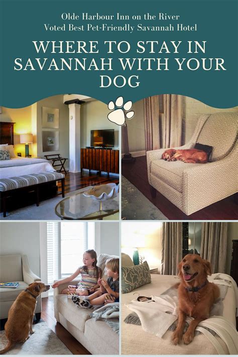 hotels in savannah that allow dogs